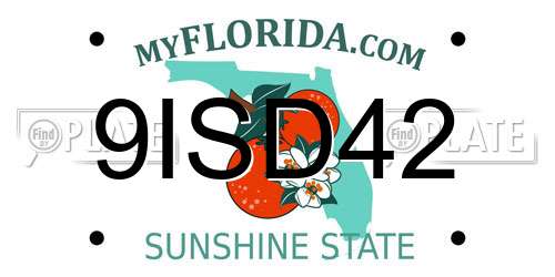 9ISD42 Florida License Plate