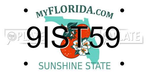 9IST59 Florida License Plate
