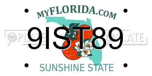 9IST89 Florida License Plate