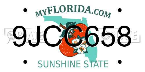 9JCC658 Florida License Plate