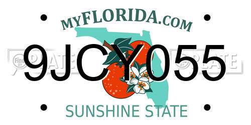 9JCY055 Florida License Plate