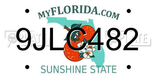 9JLC482 Florida License Plate