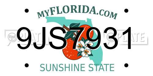 9JS7931 Florida License Plate