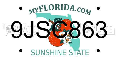 9JSC863 Florida License Plate
