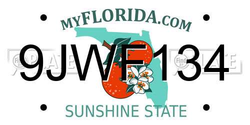9JWF134 Florida License Plate