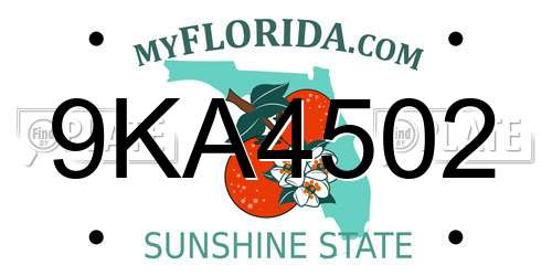 9KA4502 Florida License Plate