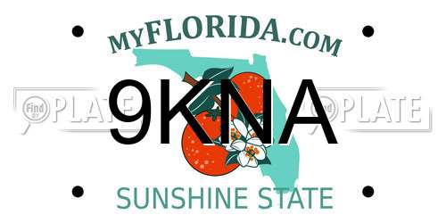 9KNA Florida License Plate