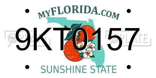 9KT0157 Florida License Plate