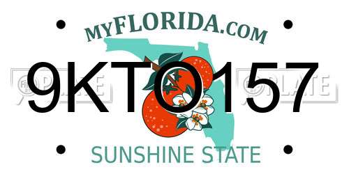 9KTO157 Florida License Plate