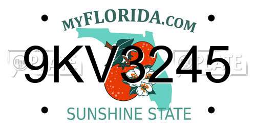 9KV3245 Florida License Plate