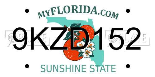 9KZD152 Florida License Plate