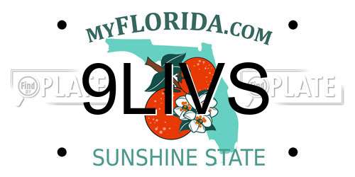 9LIVS Florida License Plate