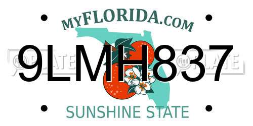 9LMH837 Florida License Plate