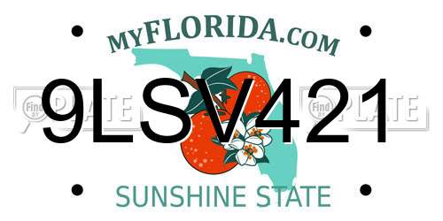 9LSV421 Florida License Plate