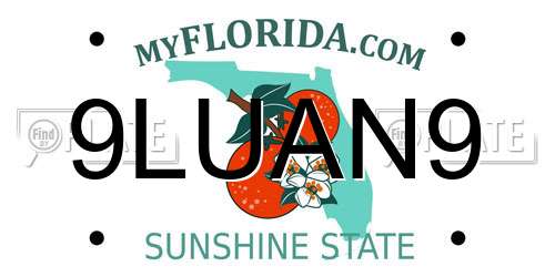 9LUAN9 Florida License Plate