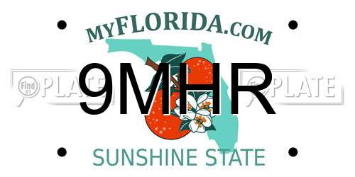 9MHR Florida License Plate