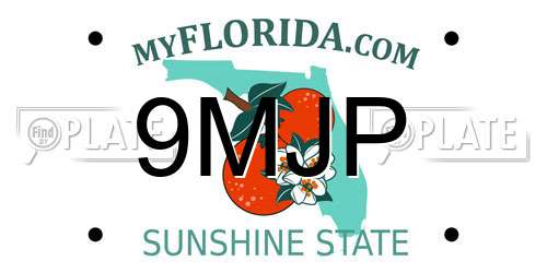 9MJP Florida License Plate