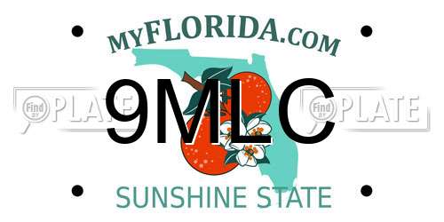 9MLC Florida License Plate