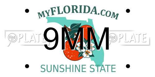9MM Florida License Plate