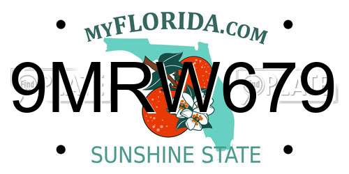 9MRW679 Florida License Plate