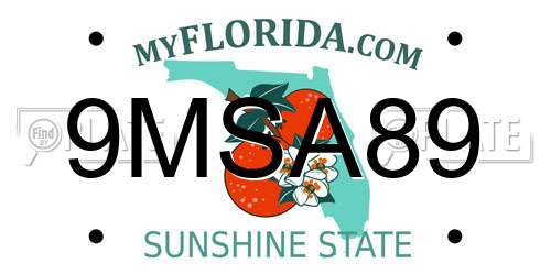 9MSA89 Florida License Plate