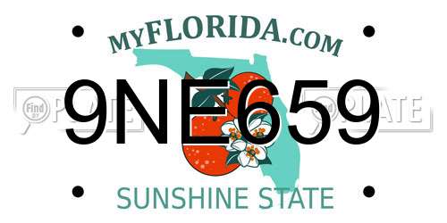 9NE659 Florida License Plate