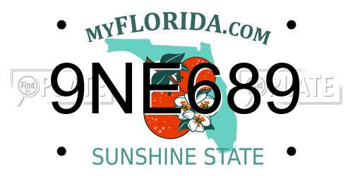 9NE689 Florida License Plate