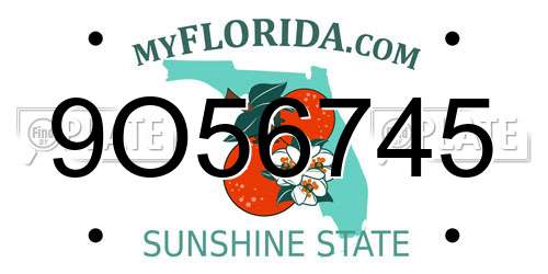 9O56745 Florida License Plate