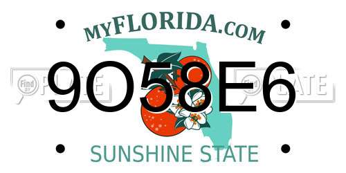 9O58E6 Florida License Plate