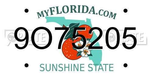 9O75205 Florida License Plate