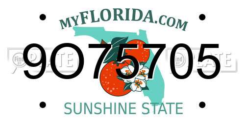 9O75705 Florida License Plate