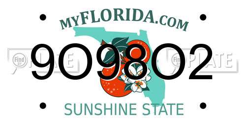 9O98O2 Florida License Plate
