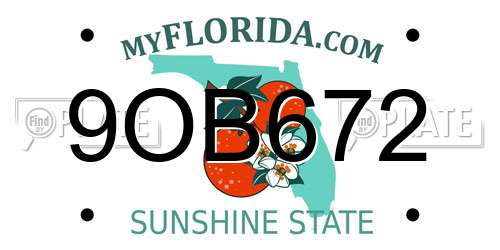 9OB672 Florida License Plate