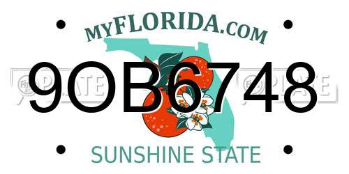 9OB6748 Florida License Plate