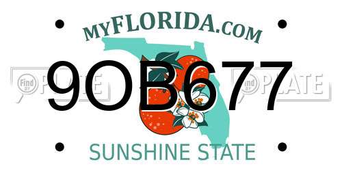 9OB677 Florida License Plate