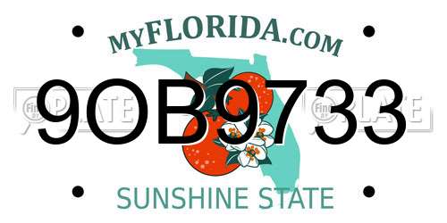 9OB9733 Florida License Plate