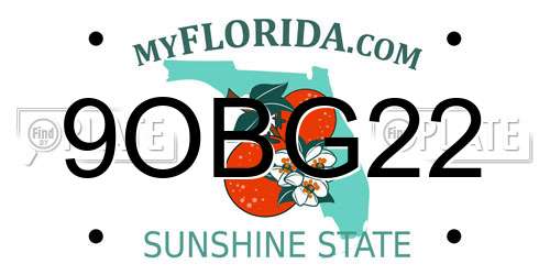 9OBG22 Florida License Plate