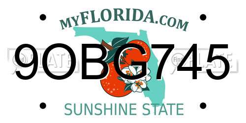 9OBG745 Florida License Plate