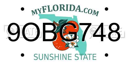 9OBG748 Florida License Plate