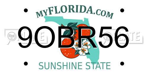 9OBR56 Florida License Plate