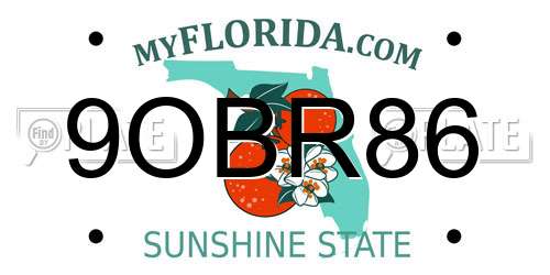 9OBR86 Florida License Plate
