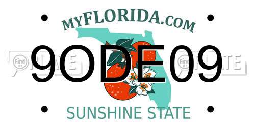 9ODE09 Florida License Plate