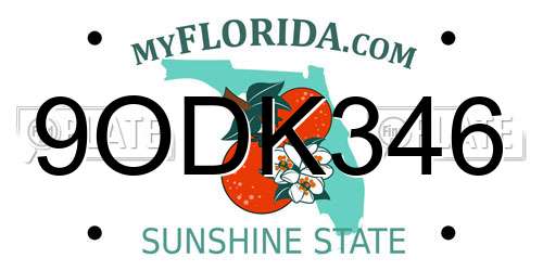9ODK346 Florida License Plate