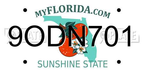 9ODN701 Florida License Plate