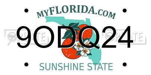 9ODQ24 Florida License Plate