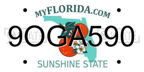 9OGA590 Florida License Plate