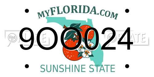 9OO024 Florida License Plate