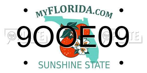 9OOE09 Florida License Plate