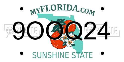 9OOQ24 Florida License Plate
