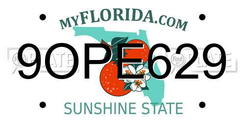 9OPE629 Florida License Plate